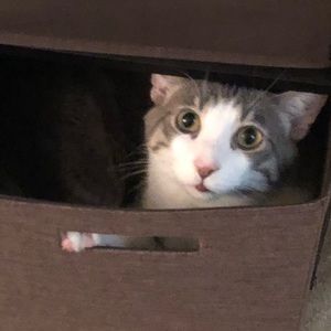 Meet your Posher, Christine